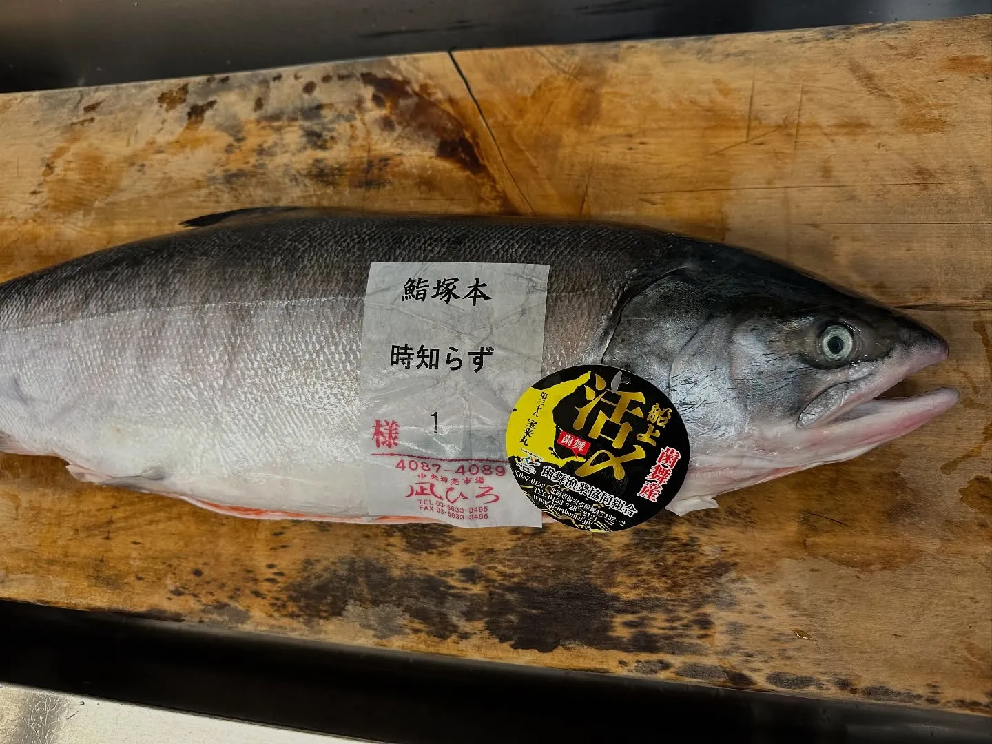 青森県三厩での一本釣りマグロは、職人の技術と努力の結晶として...