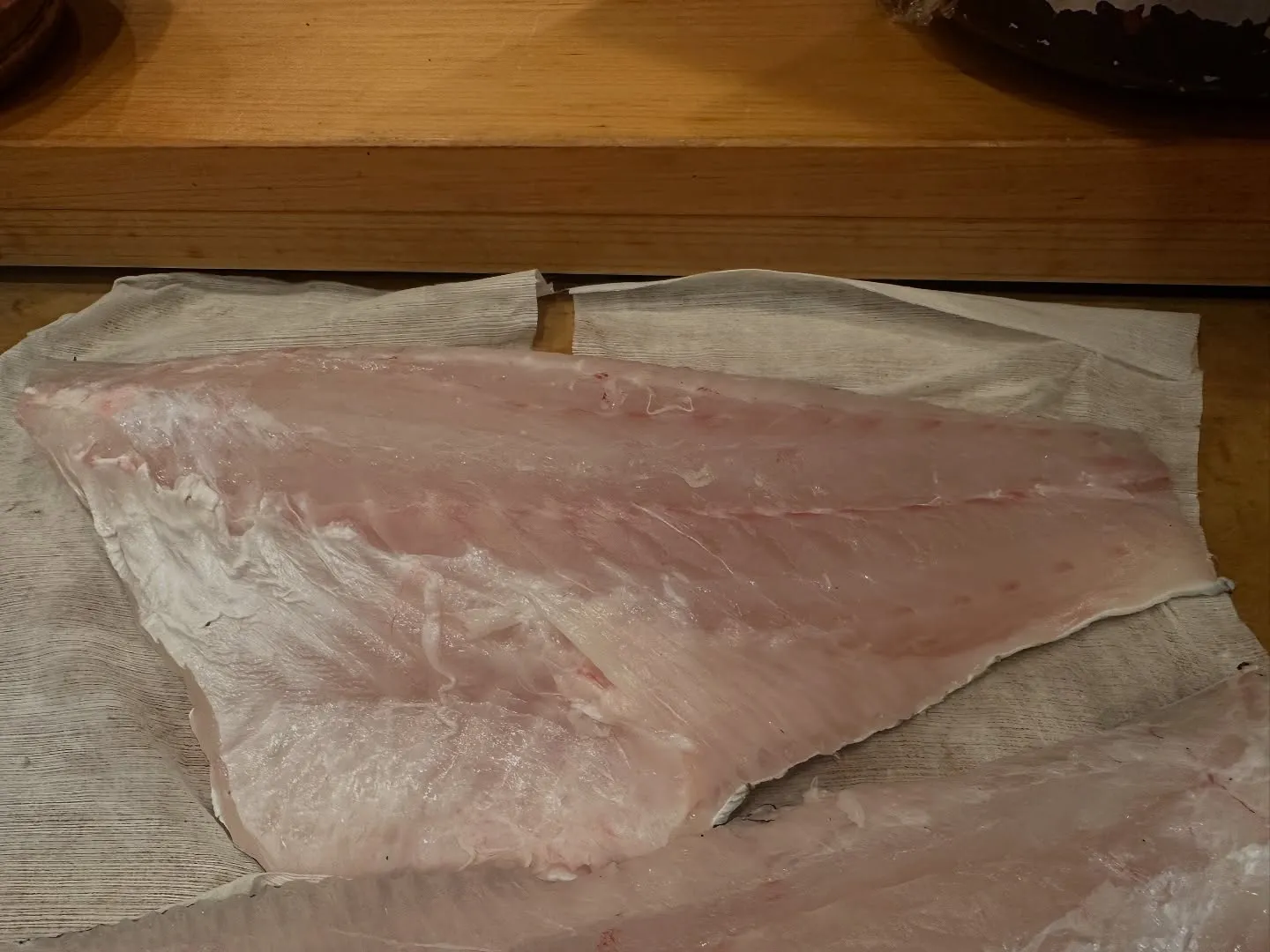今週の五島列島釣りクエ🎣めっちゃいい脂が凄い😊