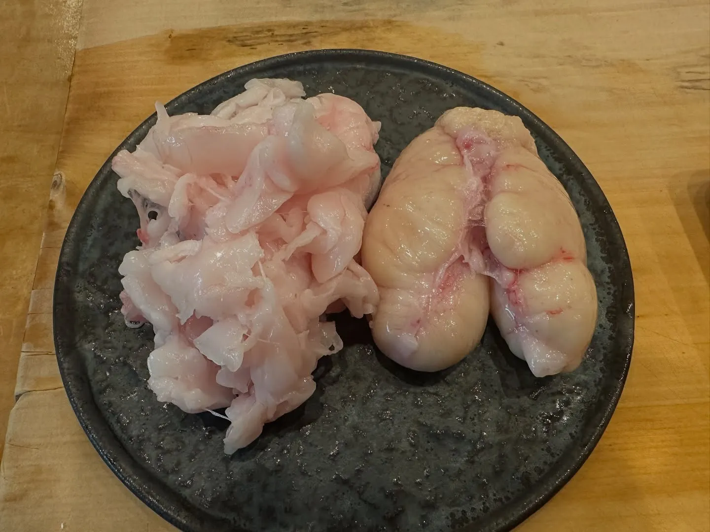 今週の五島列島釣りクエ🎣めっちゃいい脂が凄い😊