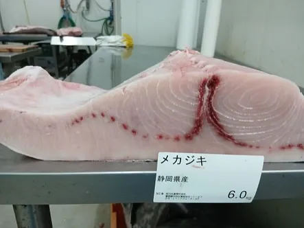 先日の仕入れで、京都の伊根港から本鮪が入荷しました。