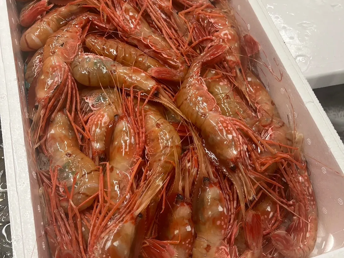 本日も当店の新鮮な逸品をお届けいたします。