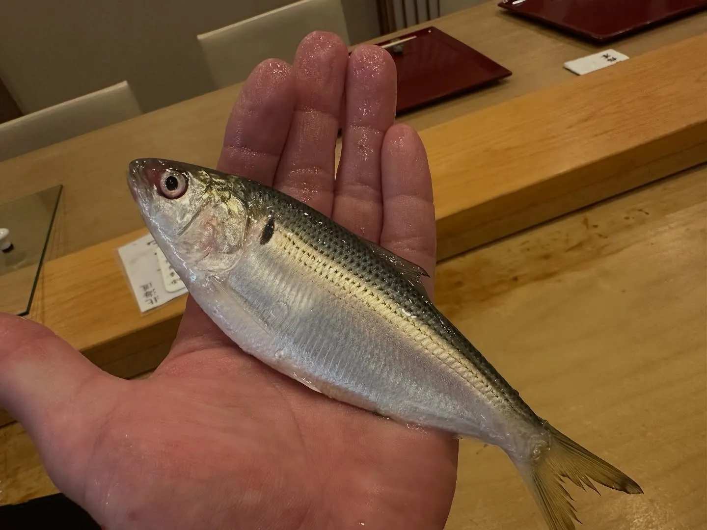 🍣季節の恵みを一口に！今週の寿司ネタは、お客様に最高の味をご...