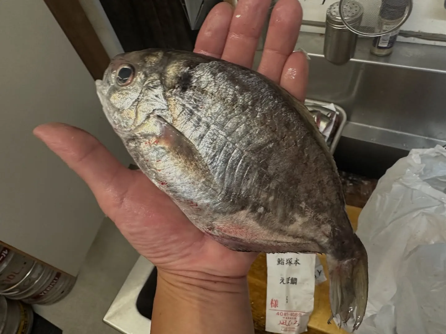 🍣季節の恵みを一口に！今週の寿司ネタは、お客様に最高の味をご...
