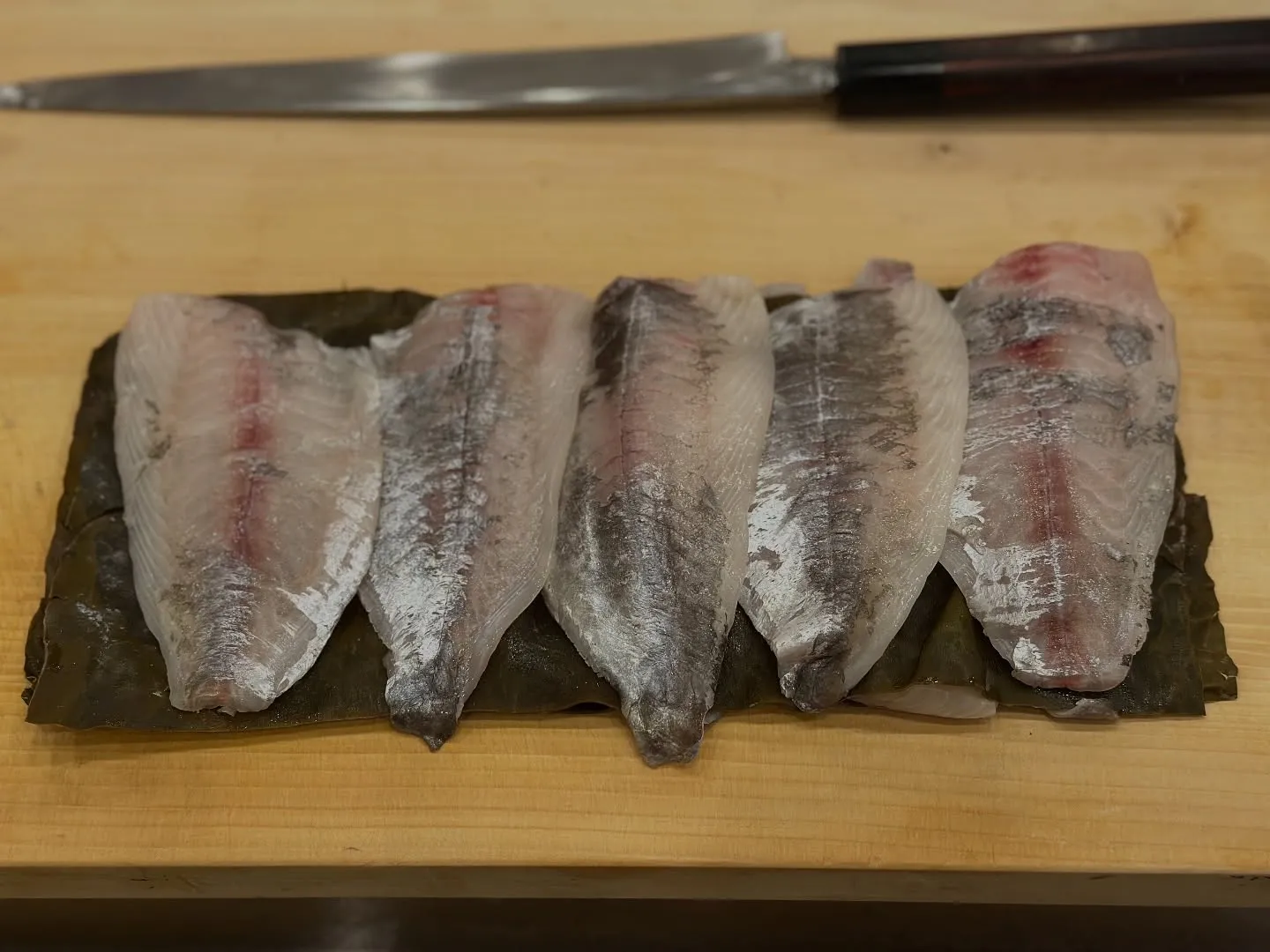 🍣季節の恵みを一口に！今週の寿司ネタは、お客様に最高の味をご...