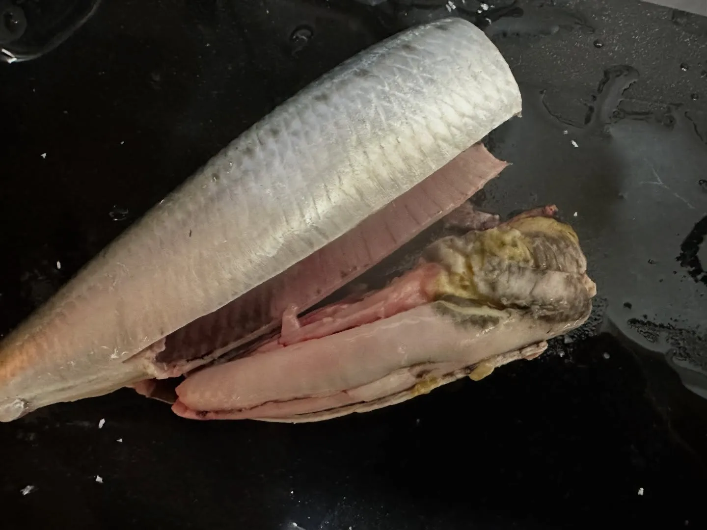 本日の北海道産のイワシは特に脂がたっぷりと乗っており、その濃...