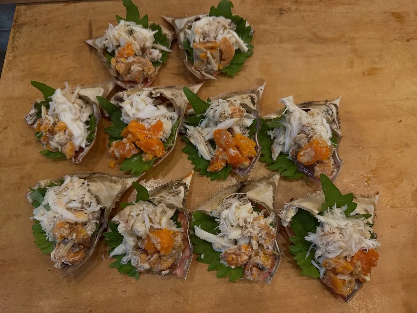 豊後水道渡り蟹🦀