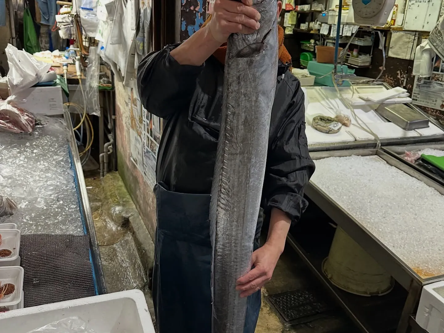 、旬の新鮮な魚介類が勢ぞろいしました！🐟 小柴カマスは脂が乗...