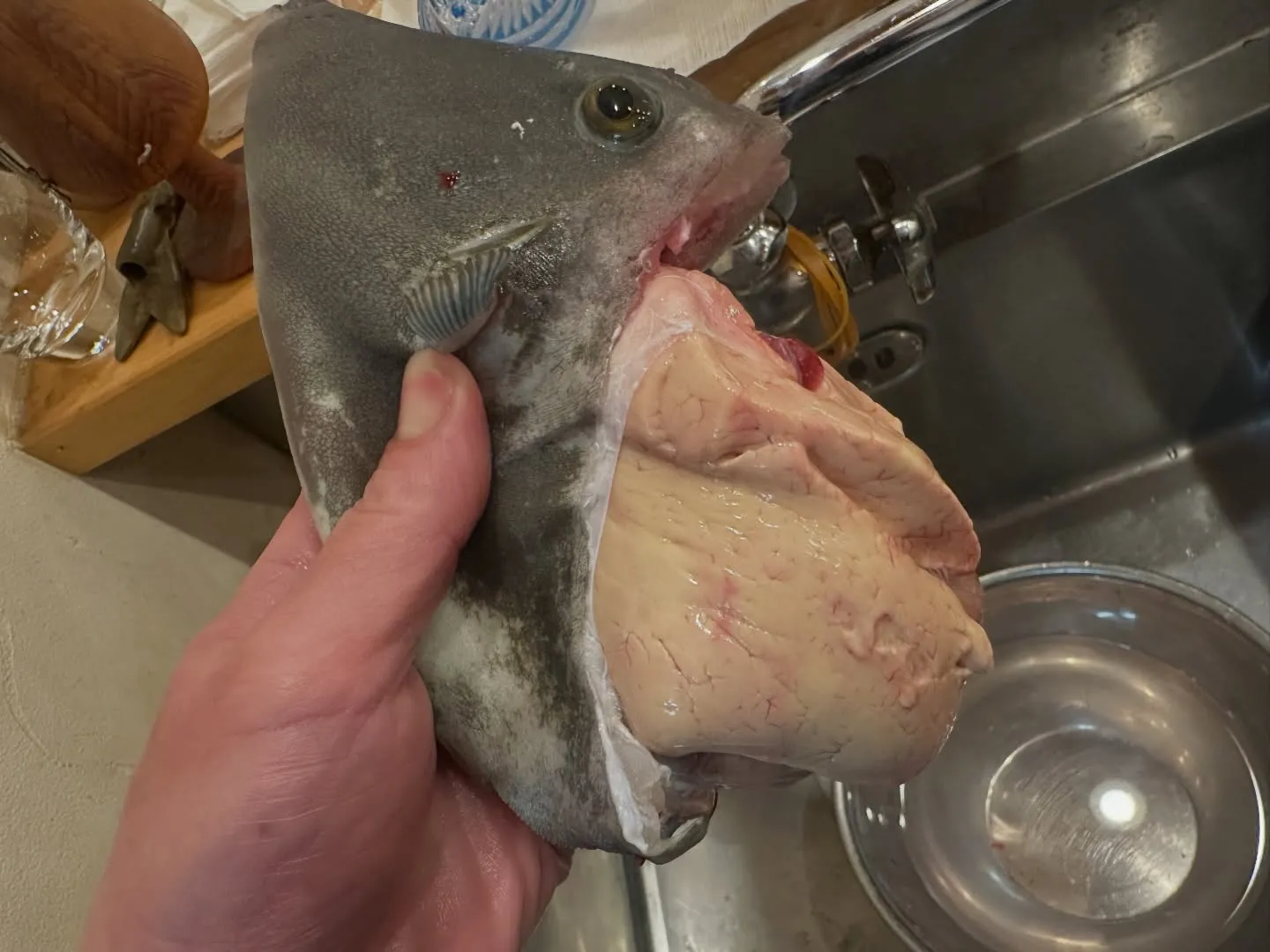 、旬の新鮮な魚介類が勢ぞろいしました！🐟 小柴カマスは脂が乗...