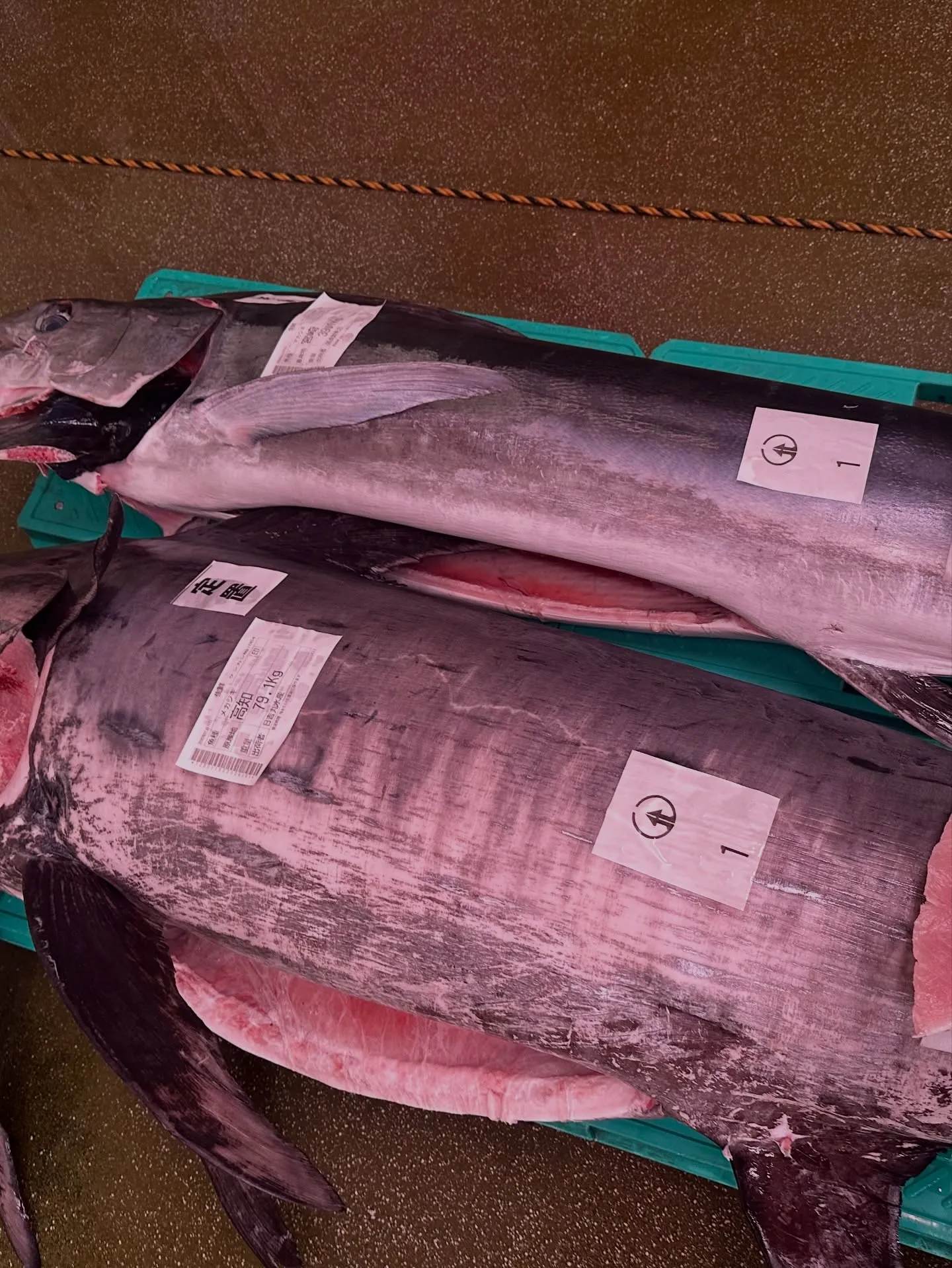 昨日の朝4時、名古屋の北部市場にて厳選した新鮮なマカジキを仕...