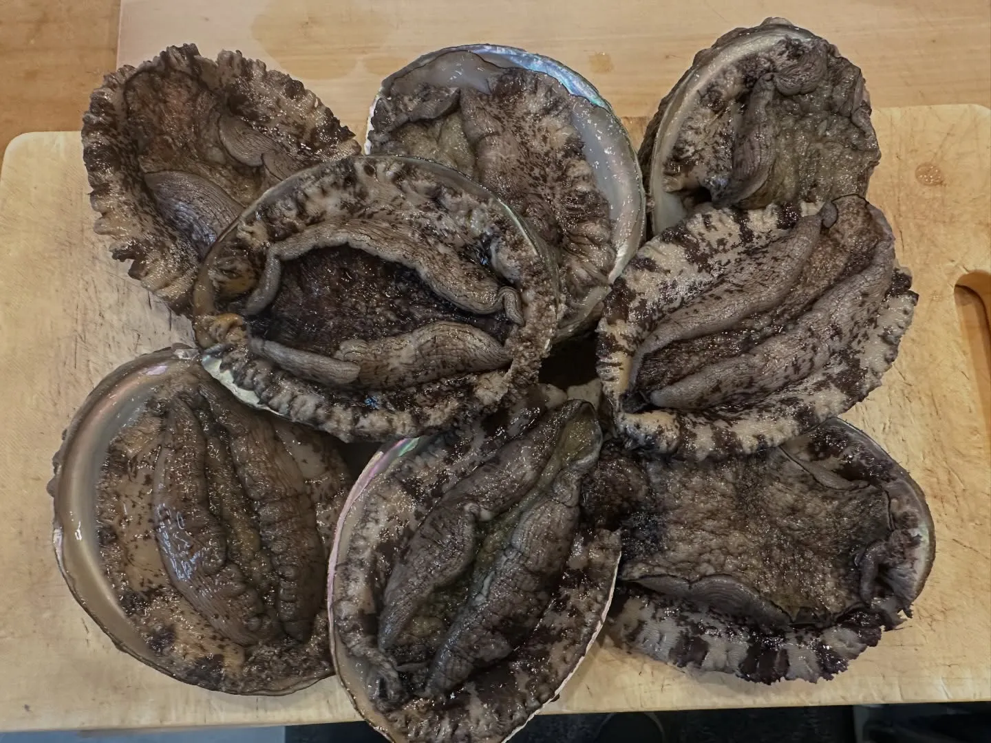 今週も驚くほど寒さが厳しいですね。