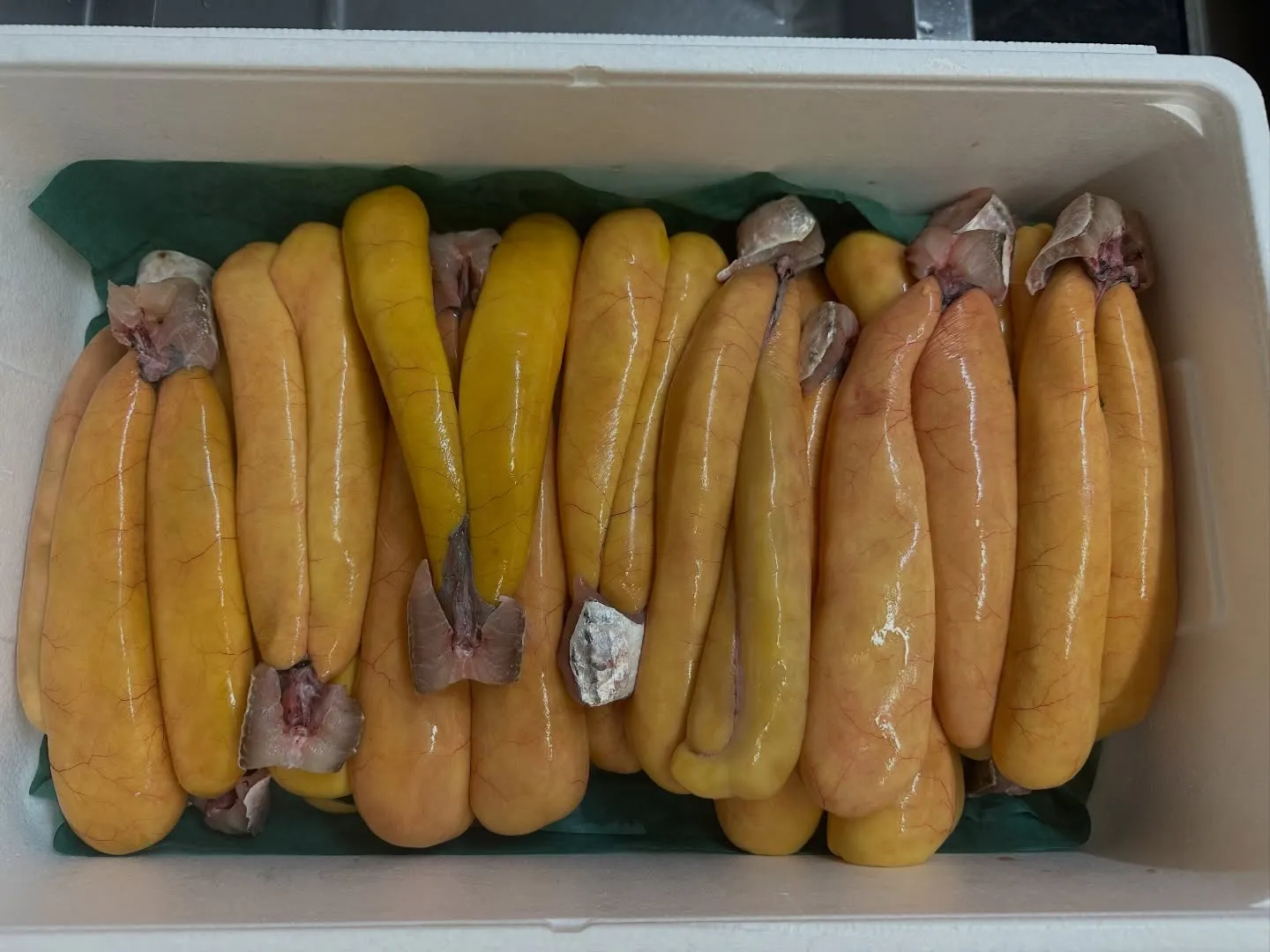 今週も驚くほど寒さが厳しいですね。