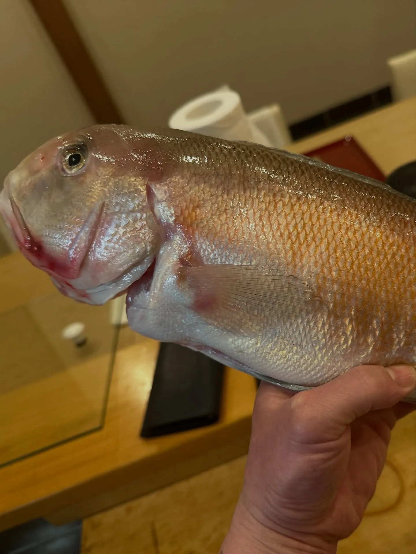 2月は数多くの素晴らしい体験とともに、忙しい日々を送ることが...