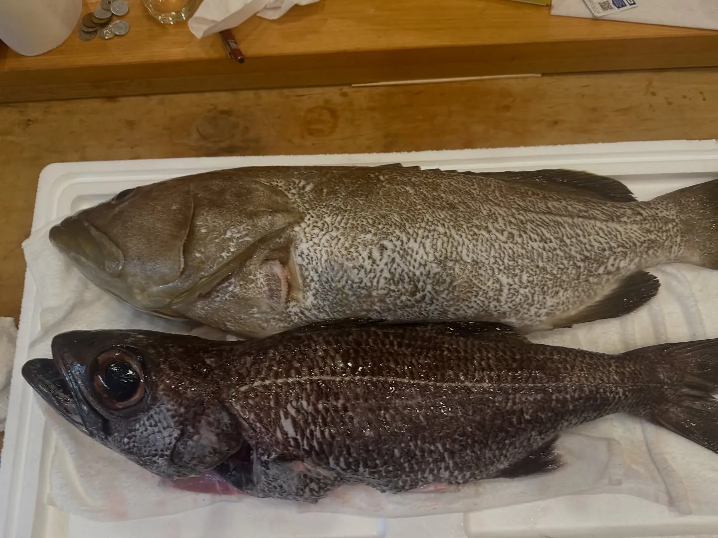 今週の主役たち。