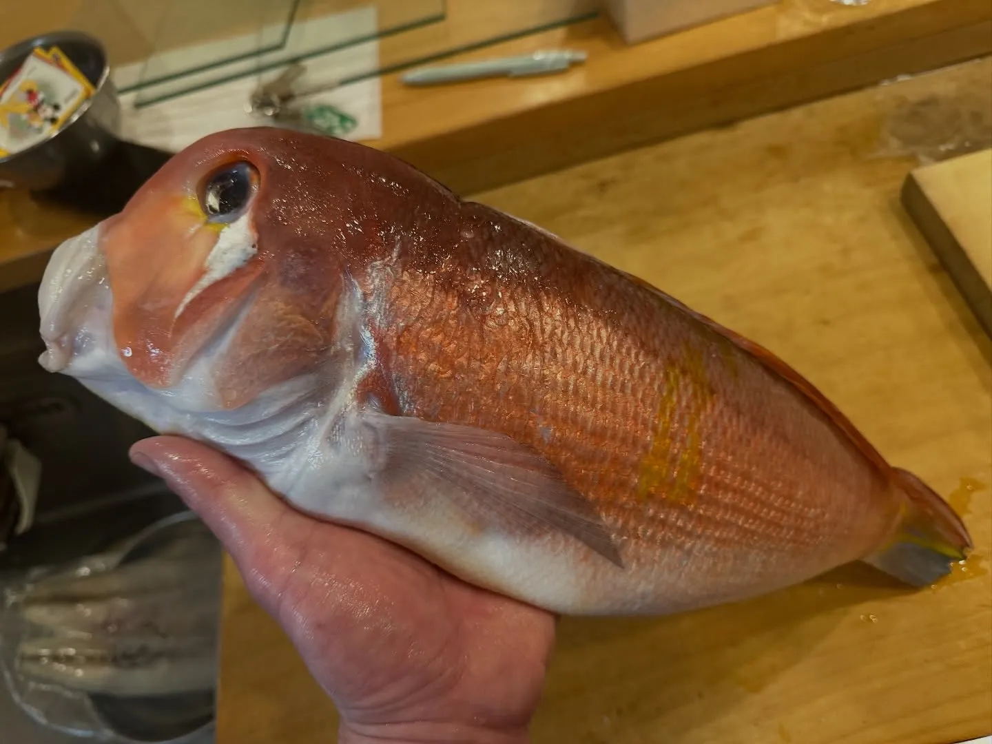 今週の主役たち。