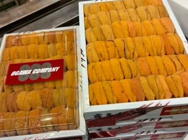 今週の主役たち。