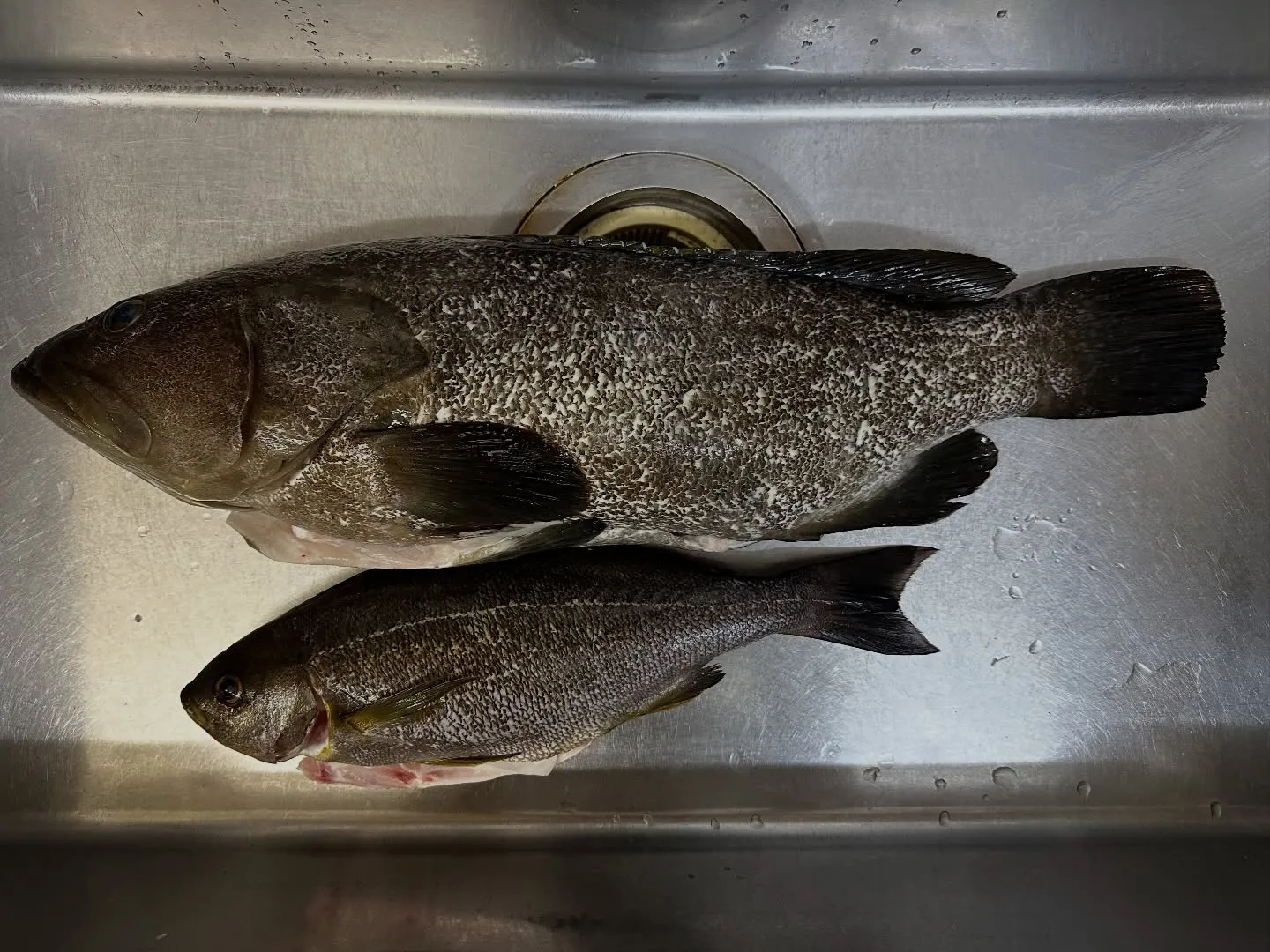 ゴールデンウィークは営業します！