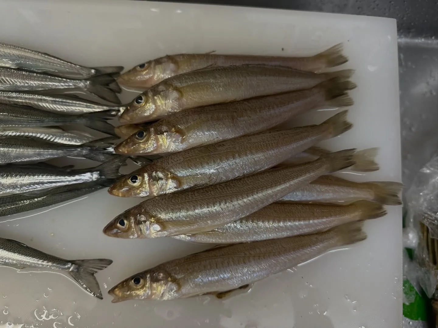 ゴールデンウィークは営業します！