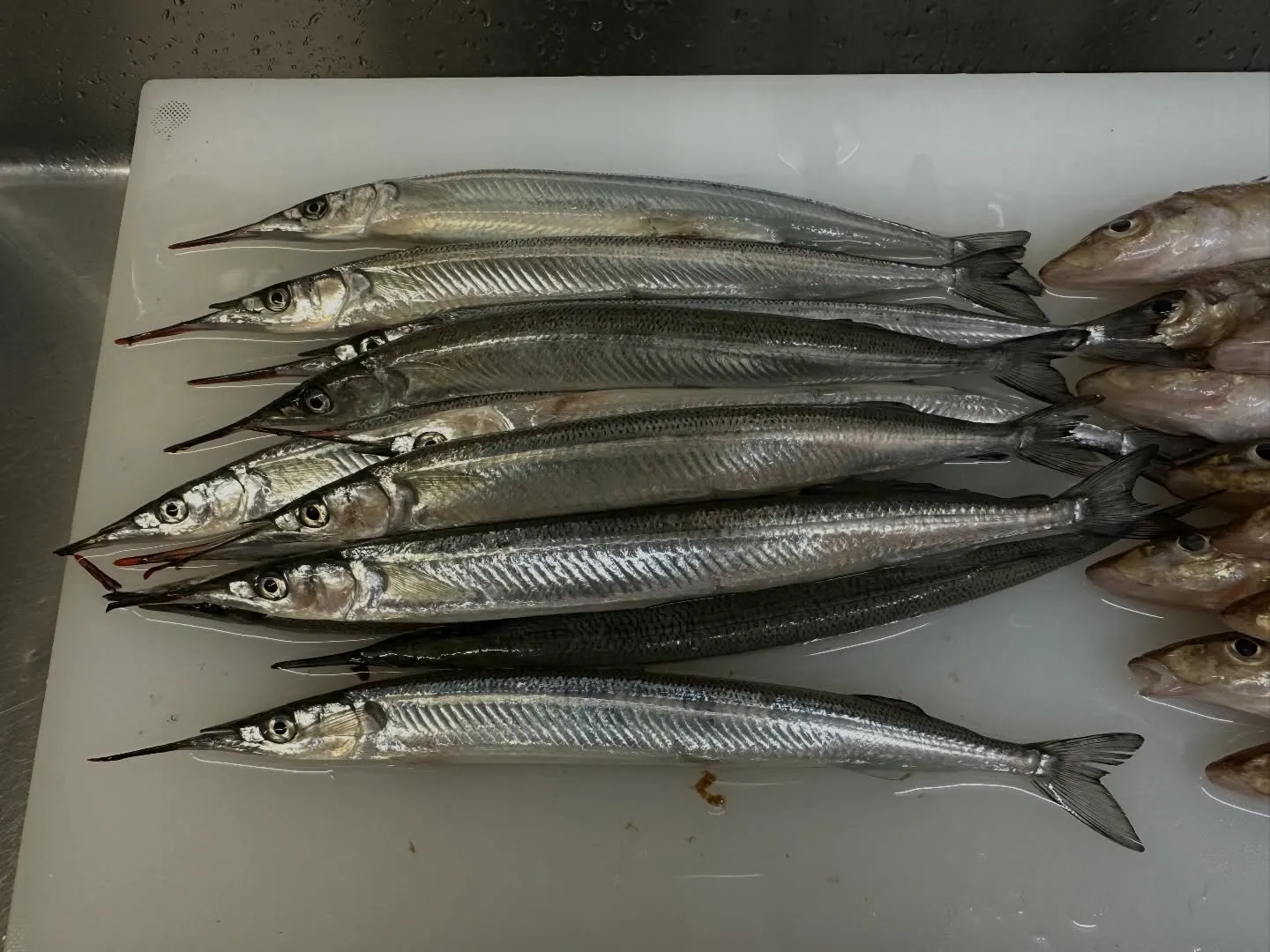 ゴールデンウィークは営業します！