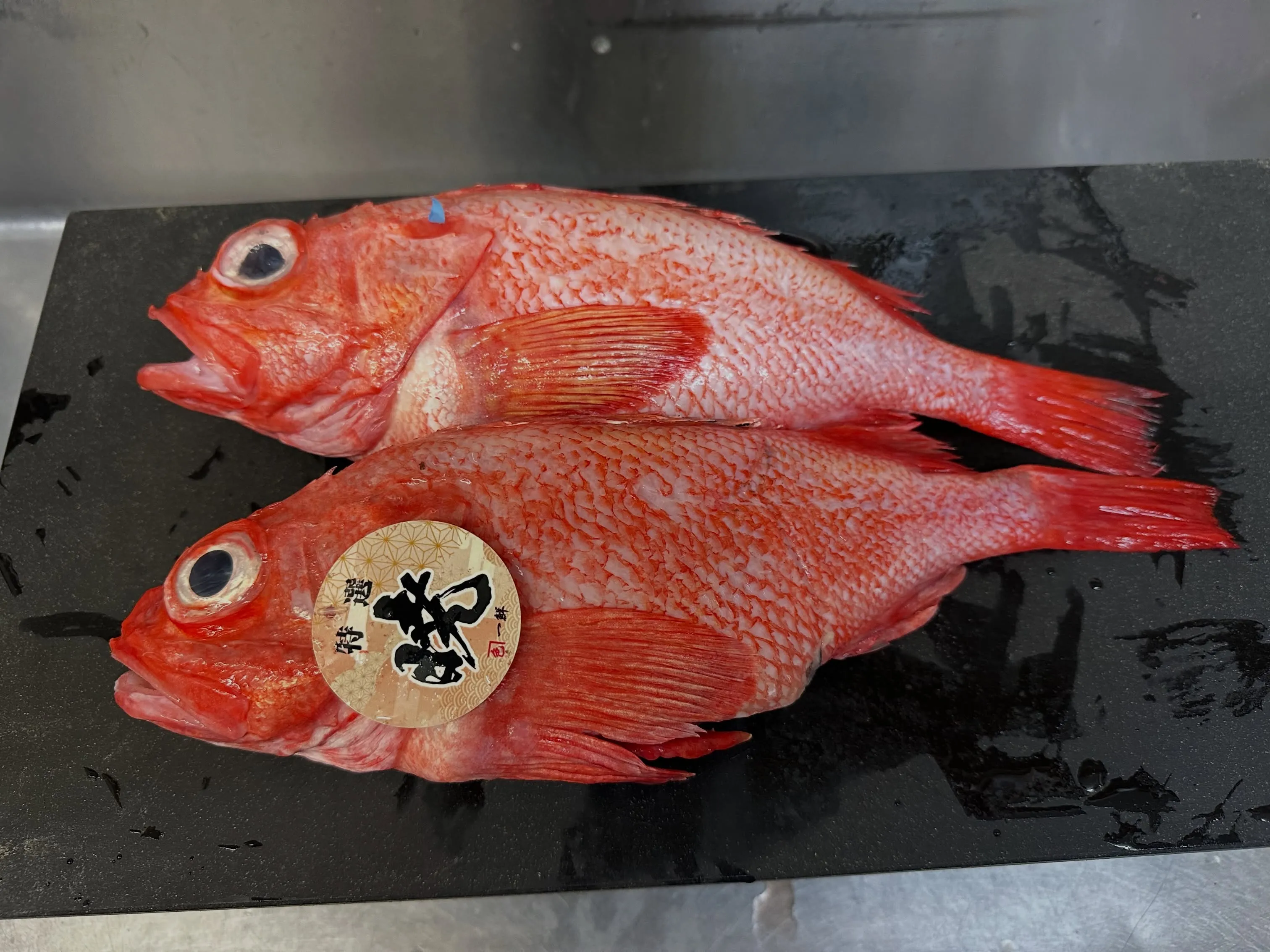 本日の仕入れ|小倉の鮨 塚本